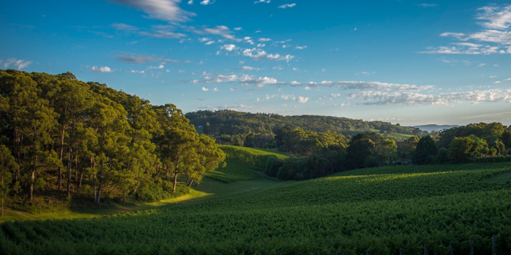 Thumbnail for My Backyard: Adelaide Hills