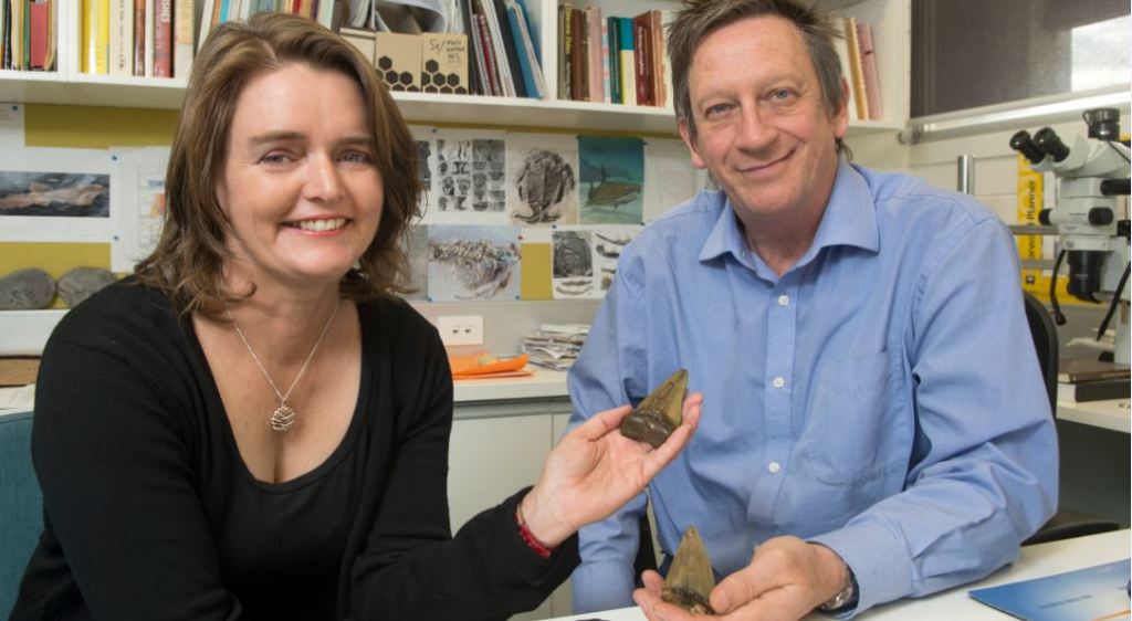 Thumbnail for Inland sea paves way for world-class opals