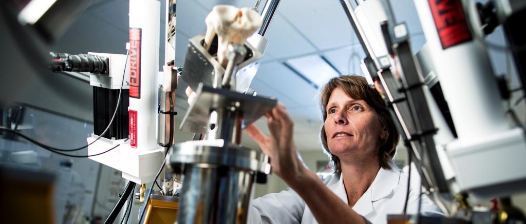 Matthew Flinders Distinguished Professor of Biomedical Engineering , Karen Reynolds, will be a "Thought Leader" on a South-East Asian trade delegation next week.