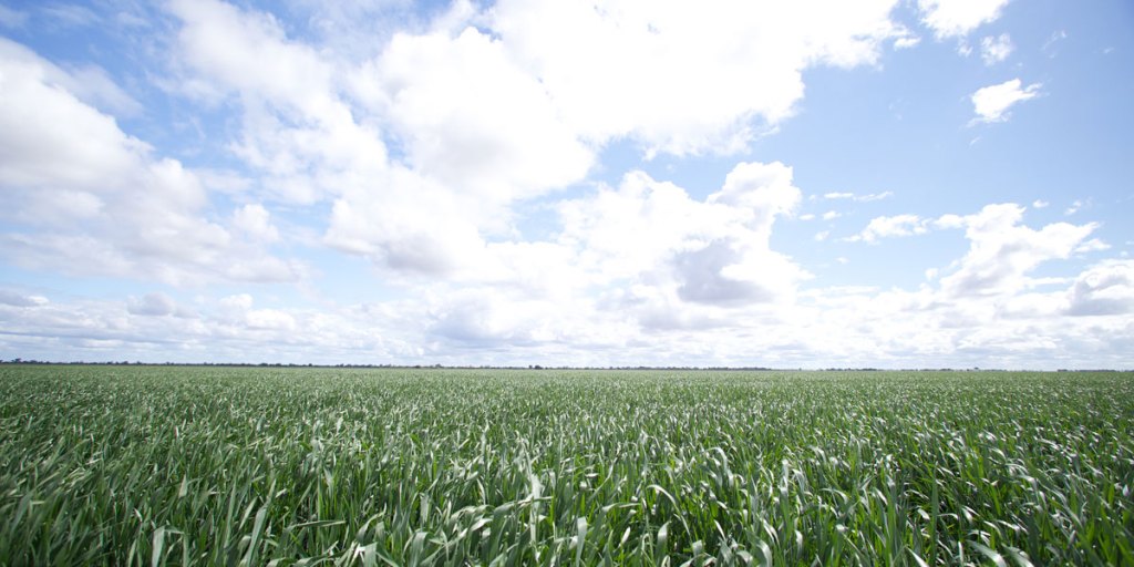 Thumbnail for Five global trends to challenge Aust agriculture