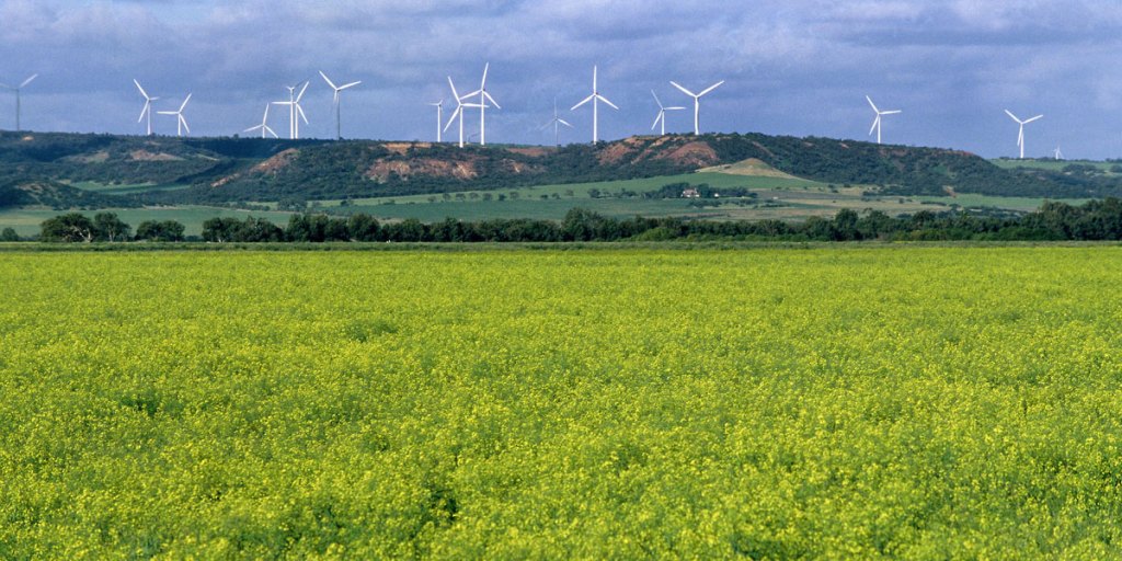 SA is a leader in renewable energy. Photo: Supplied