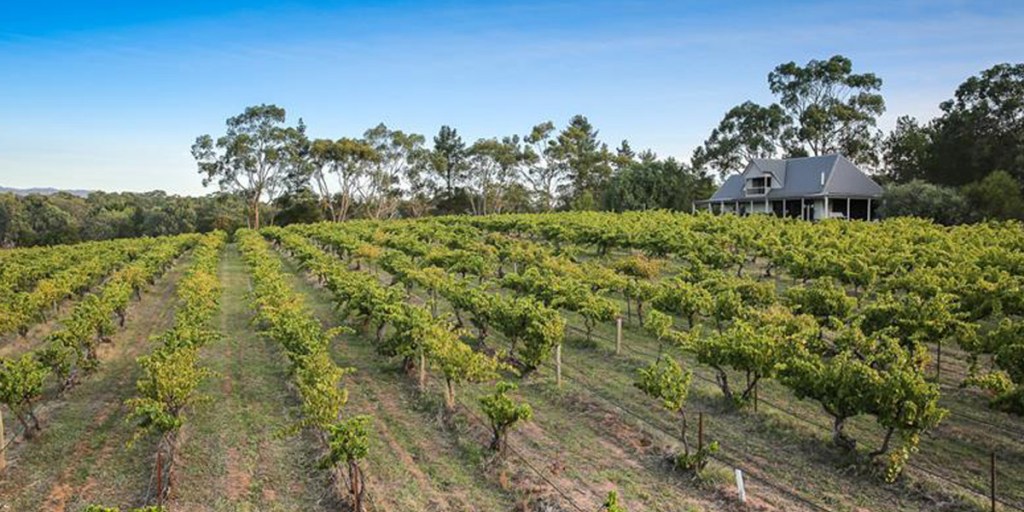 Thumbnail for Lyndoch