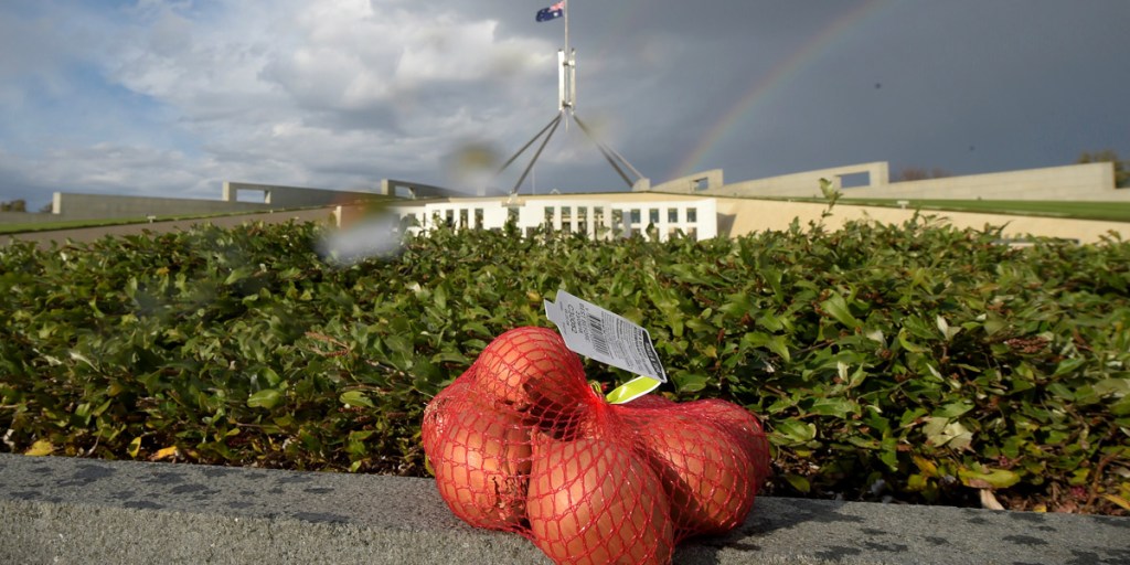 A bag of onions is placed outside Parliament House in Canberra this morning. 