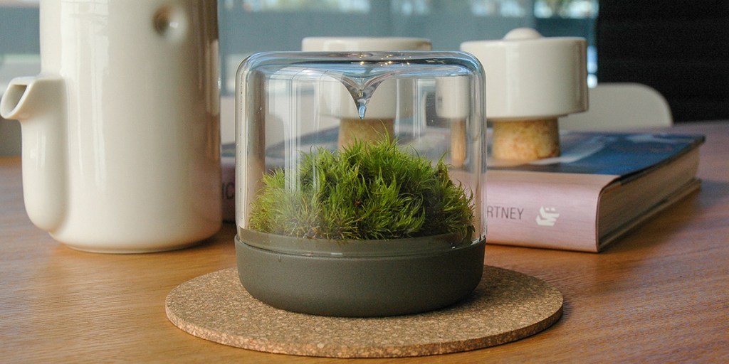 Thumbnail for A Sanctuary in the modern office