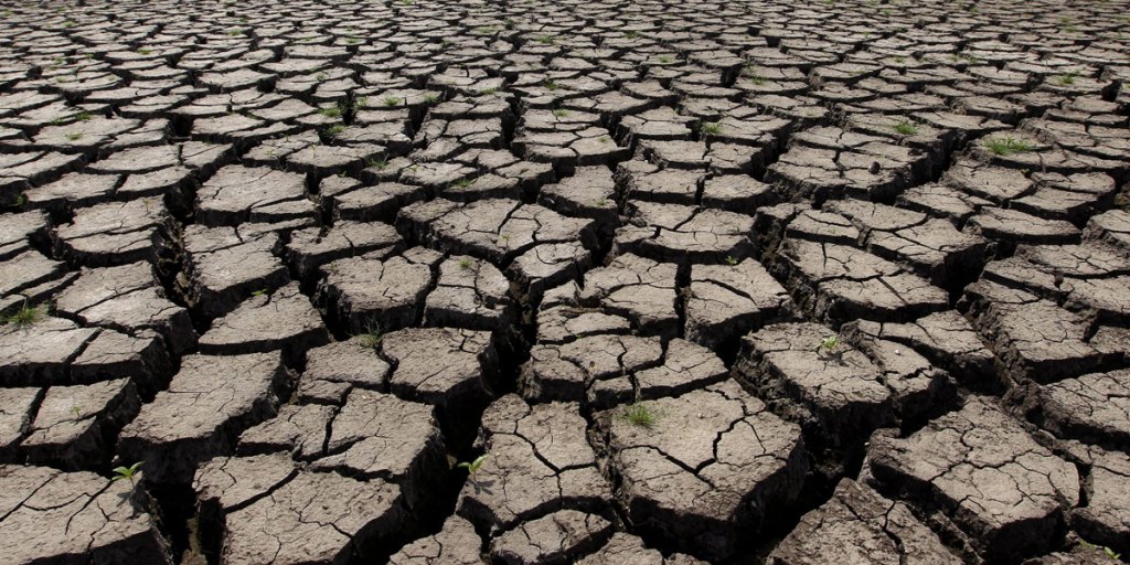 Thumbnail for No coal ban despite Westpac climate commitment