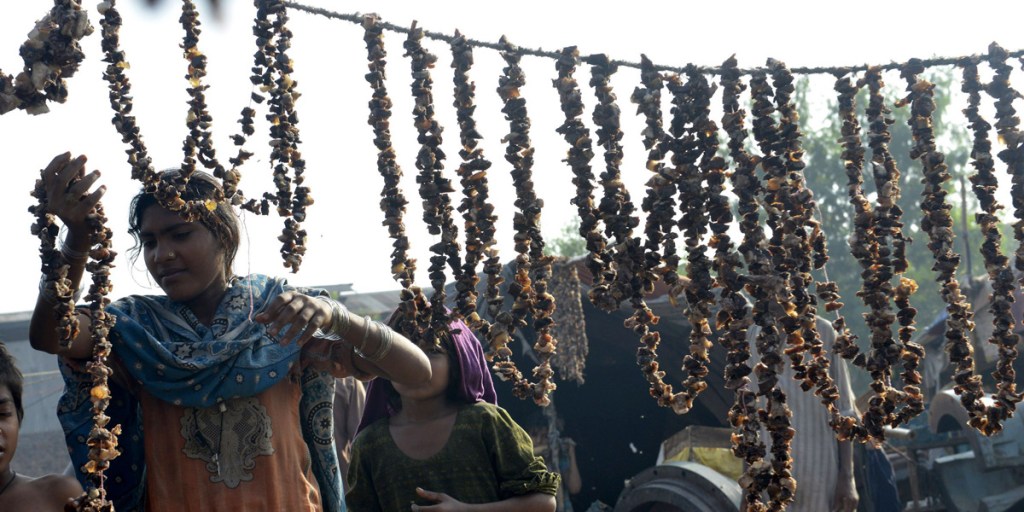 A Pakistani nomad family dry sacrificial meat received during the Muslim festival of Eid-al-Adha, in Lahore. During the Festival of Sacrifice, affluent Muslims sacrifice their best halal domestic animals as a symbol of Abraham's willingness to sacrifice his only son. 