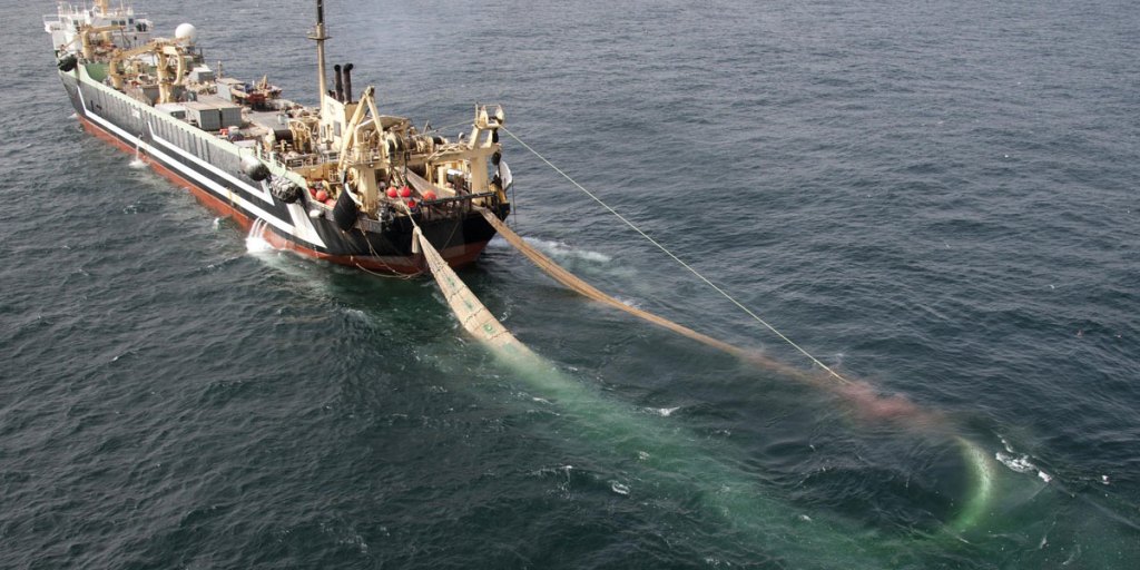 Thumbnail for Fishing subsidies are emptying the oceans