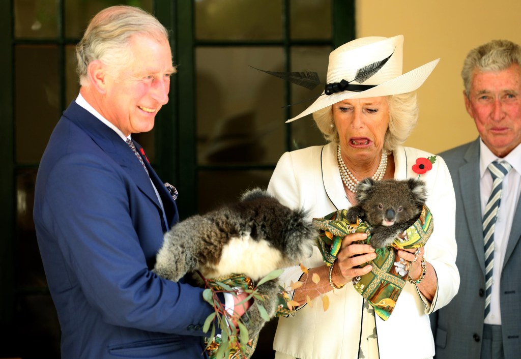 Thumbnail for A royal visit to warm the cockles of our republican hearts