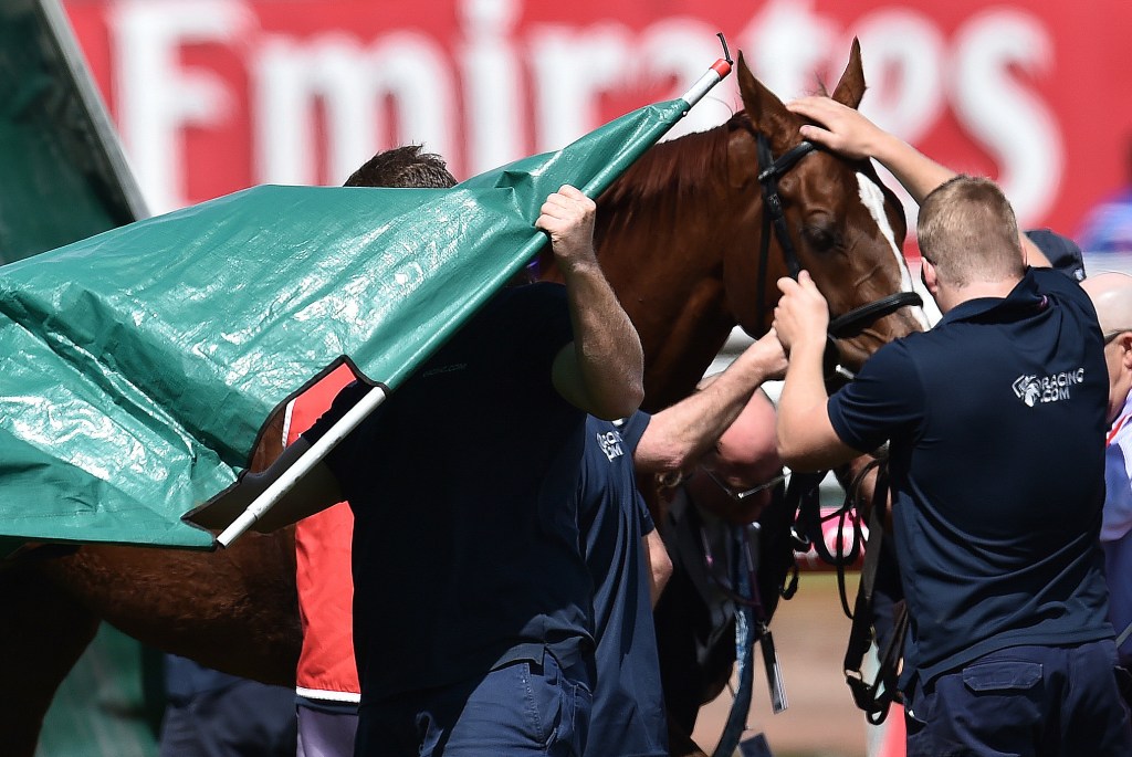 Thumbnail for Surgery for sentimental Cup favourite