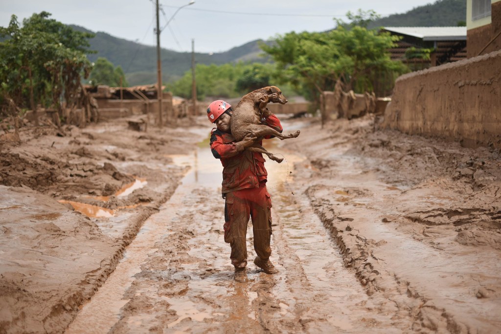 A fireman rescues a dog that was trapped in the mud that swept through the village of Bento Rodrigues. AFP PHOTO / Douglas MAGNO