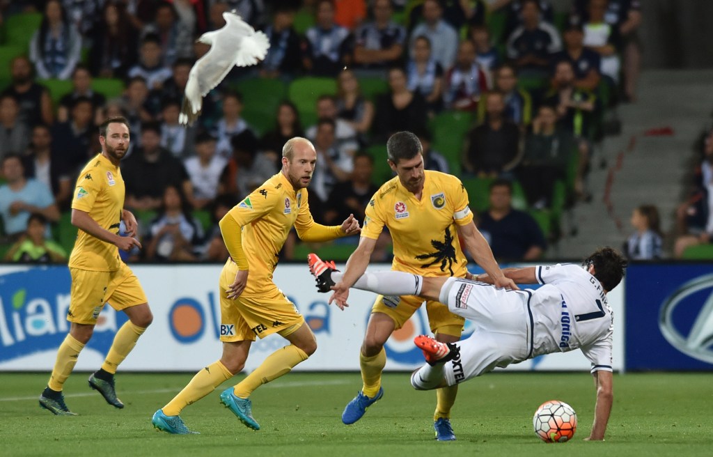 Thumbnail for Finkler hands Victory A-League win