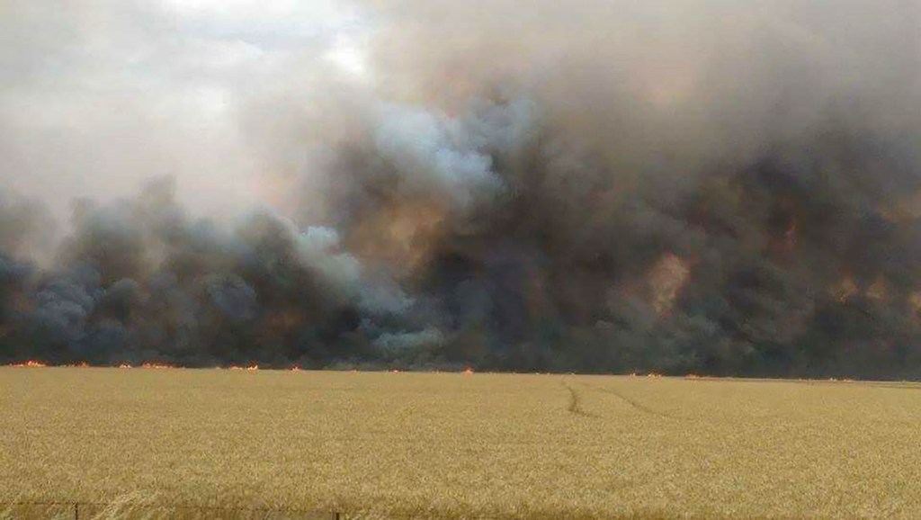 The blaze burning out of control in Mallala. Photo: AAP/Stelios Eleftheriou