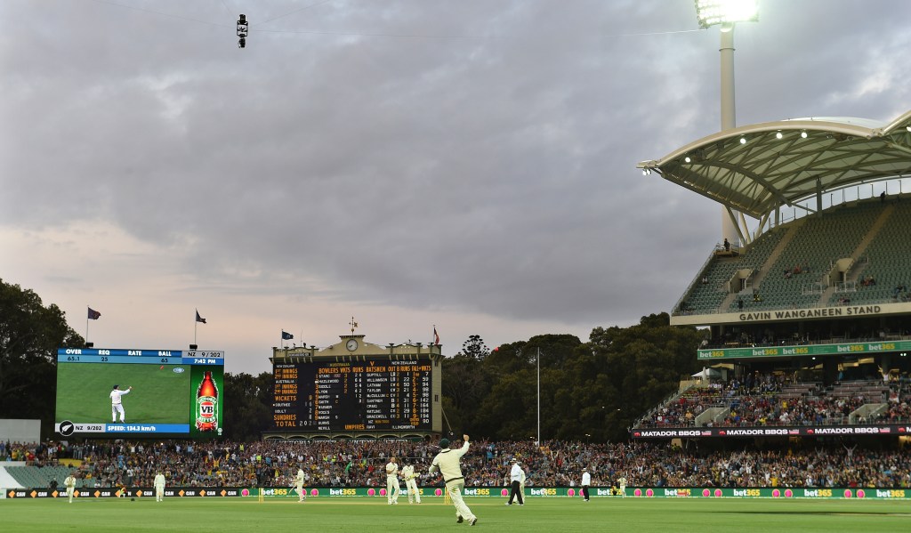 David Warner celebrating a catch during the day-night Test in Adelaide. AAP Image/Dave Hunt