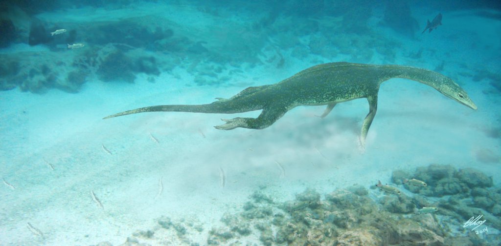 Many marine reptiles like this nothosaur went extinct at the end of the Triassic, one of five major mass extinction events on Earth. Brian Choo, CC BY-NC