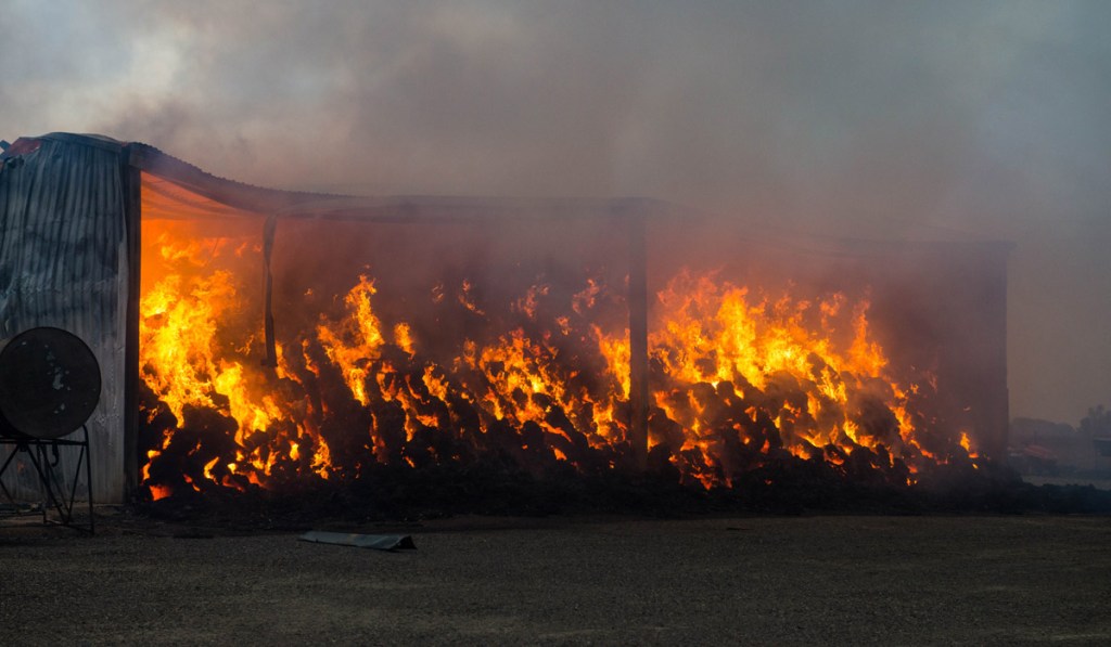 Thumbnail for The bushfire dragon arrives early in South Australia