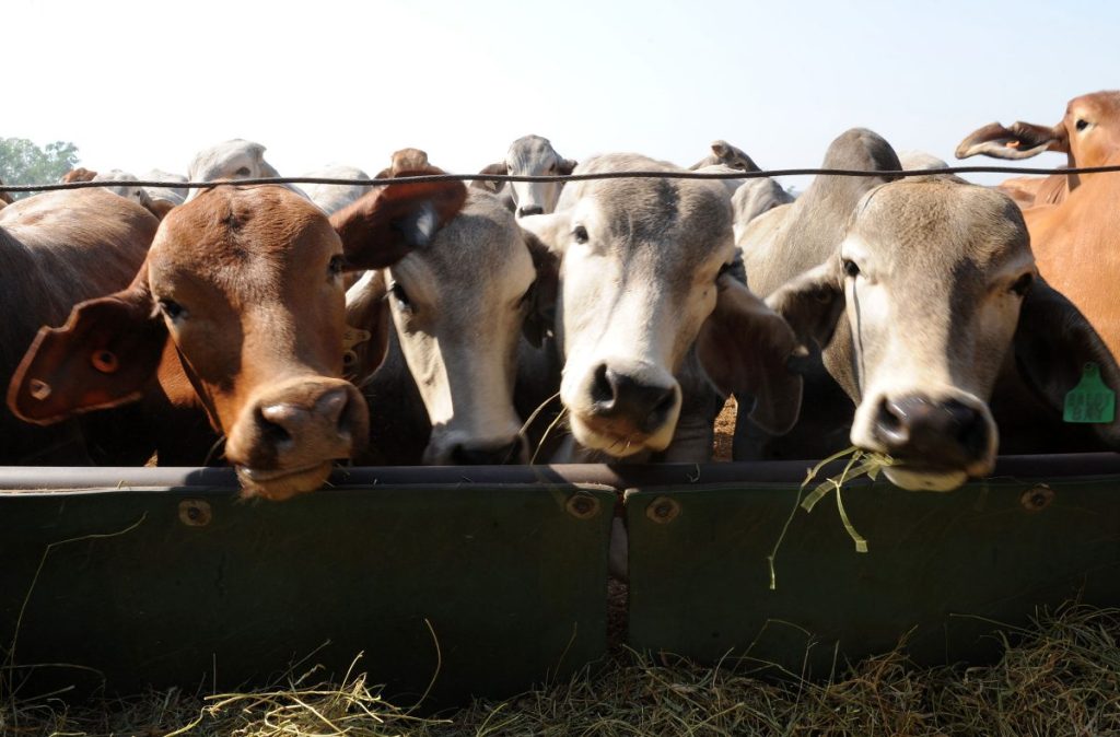 Thumbnail for Nominations close this week for 2023 Ag Town of the Year