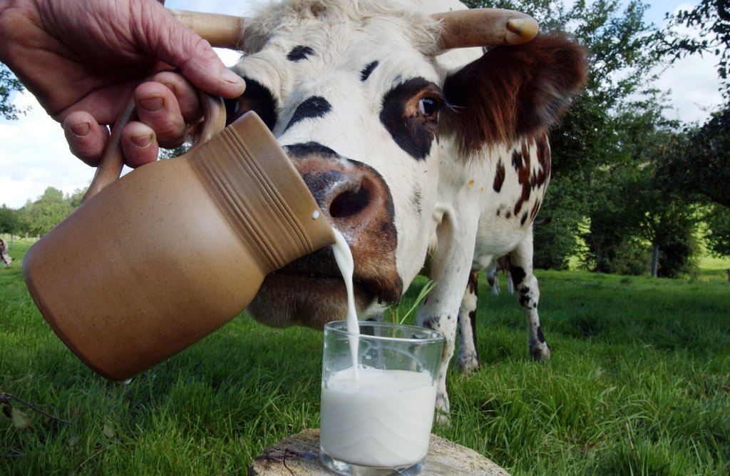 Thumbnail for Fonterra laps up strong performance