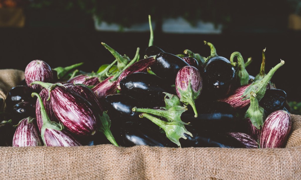 Eggplant at the Adelaide Showgrounds Farmers' Market.