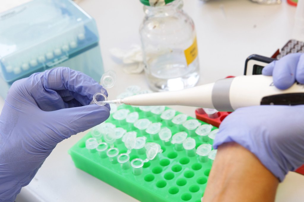 Thumbnail for ‘Risk of squandering opportunities’, warns innovation chief