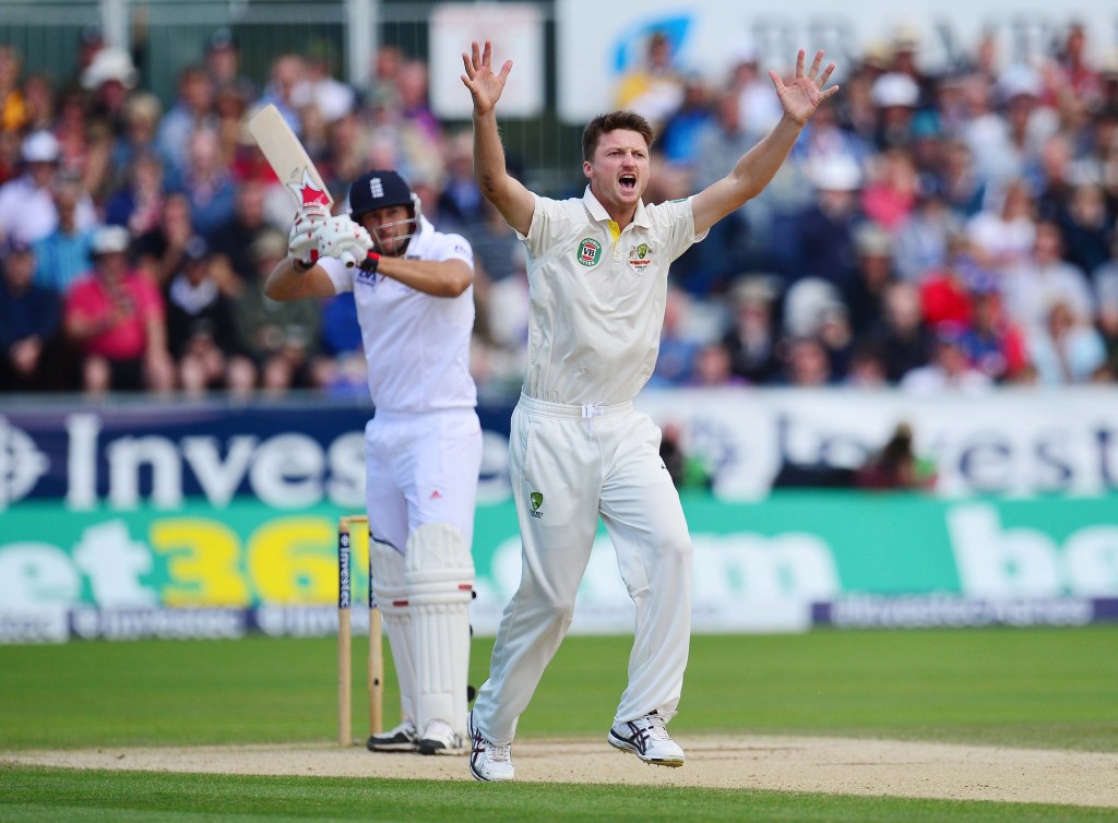 Jackson Bird appeals for a wicket during the 2013 Ashes series. Photo: Owen Humphreys/PA Wire