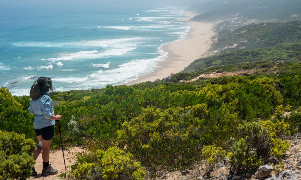 Thumbnail for Great Ocean Walk brings home the buzz of nature