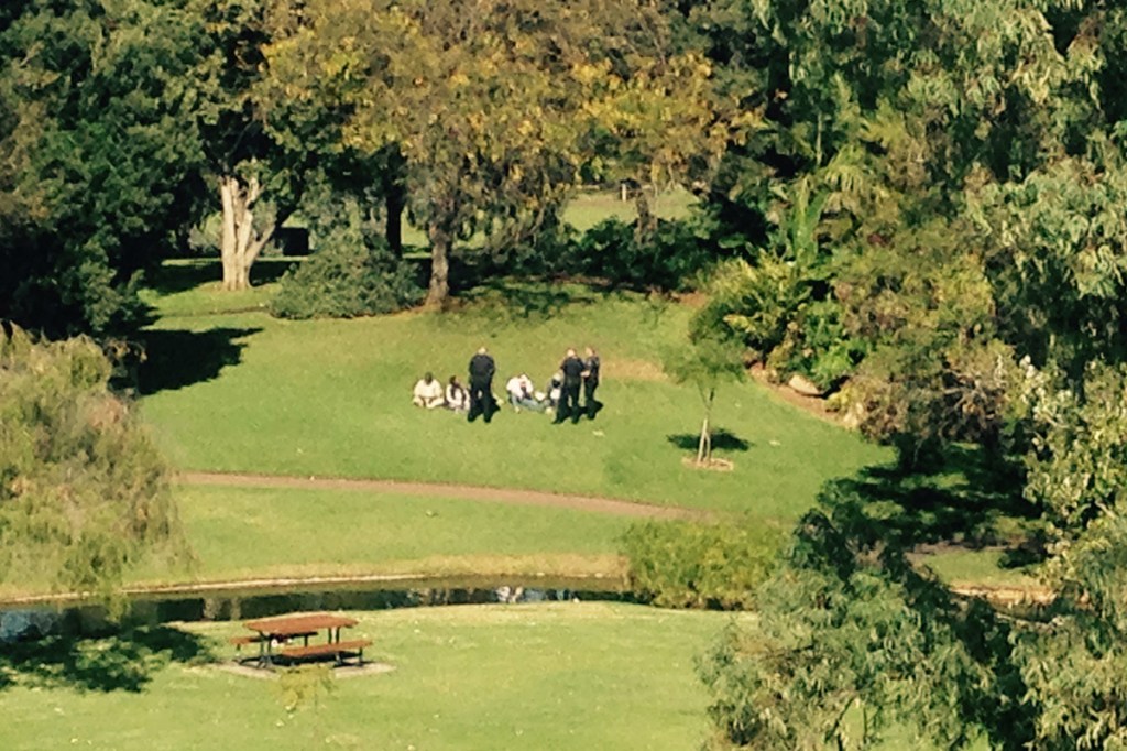 View from the top: one of the images shared by a "concerned" city resident.