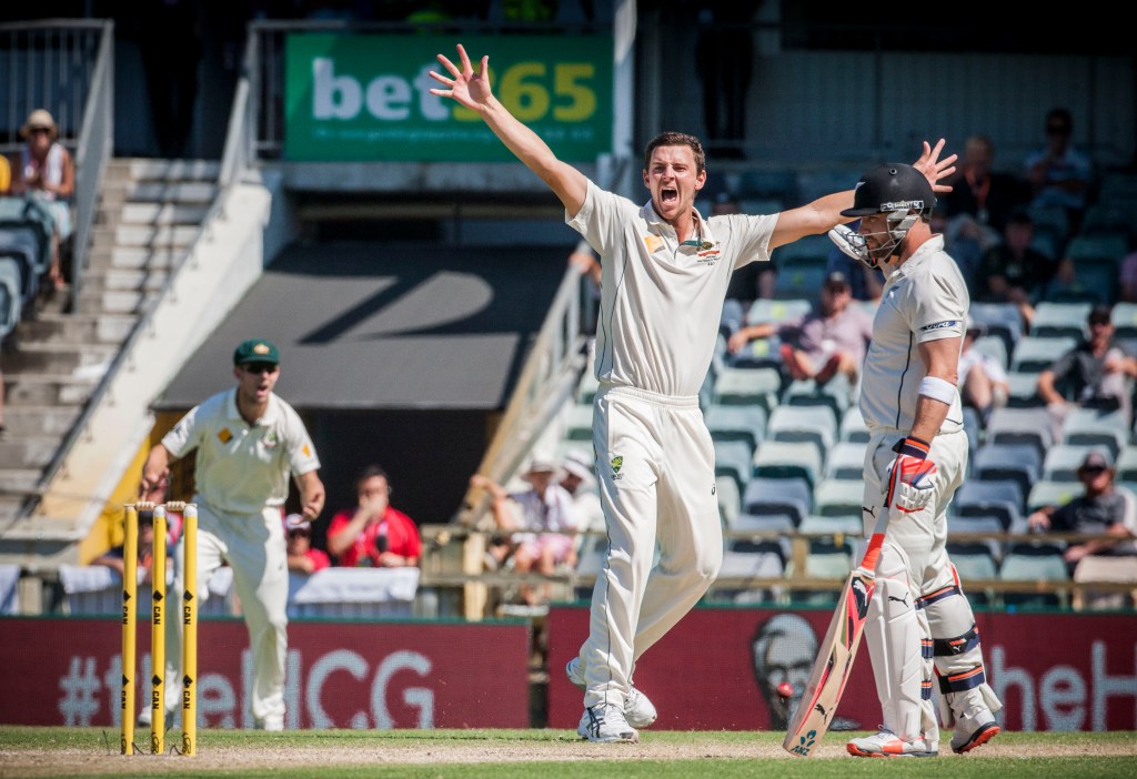 Thumbnail for Hazlewood steps up as Australia’s spearhead