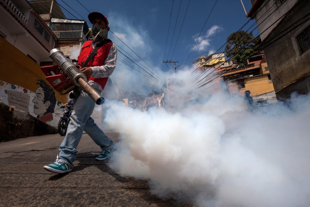Thumbnail for Olympics organisers brace for Zika effect