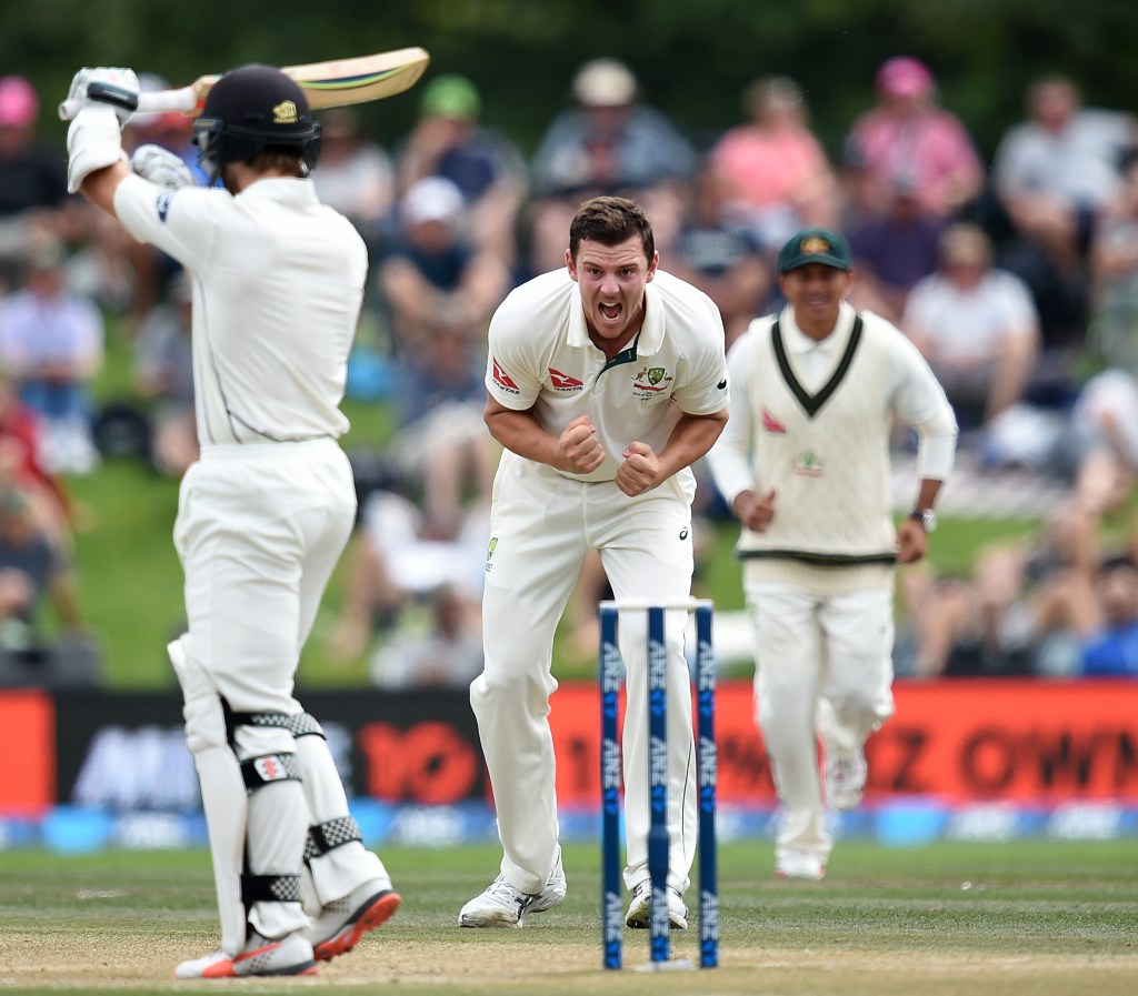 Thumbnail for Hazlewood sanctioned for umpire spray