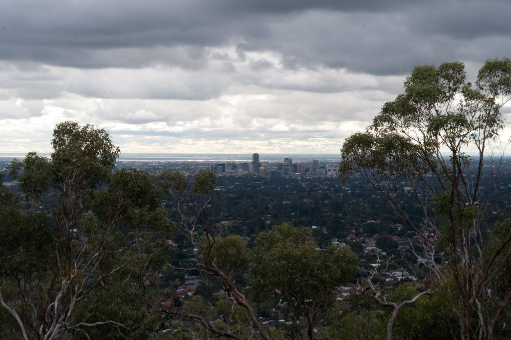 Thumbnail for How a nuclear dump could save SA’s environment