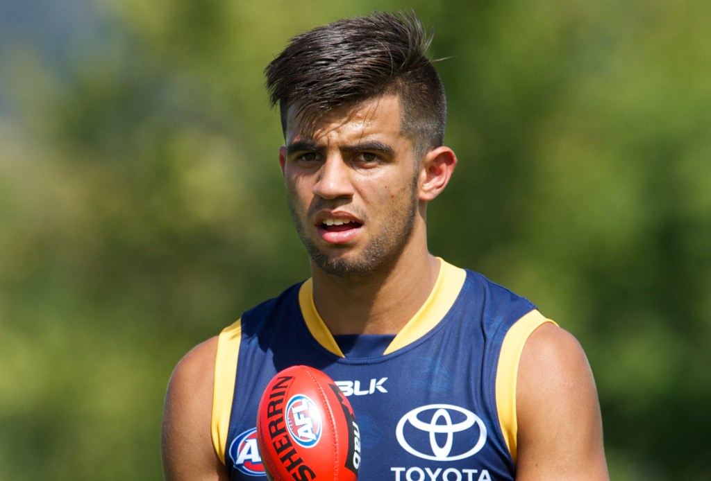 Thumbnail for “No pressure, Wayne!”: AFL boss anoints Milera, annoys Koch