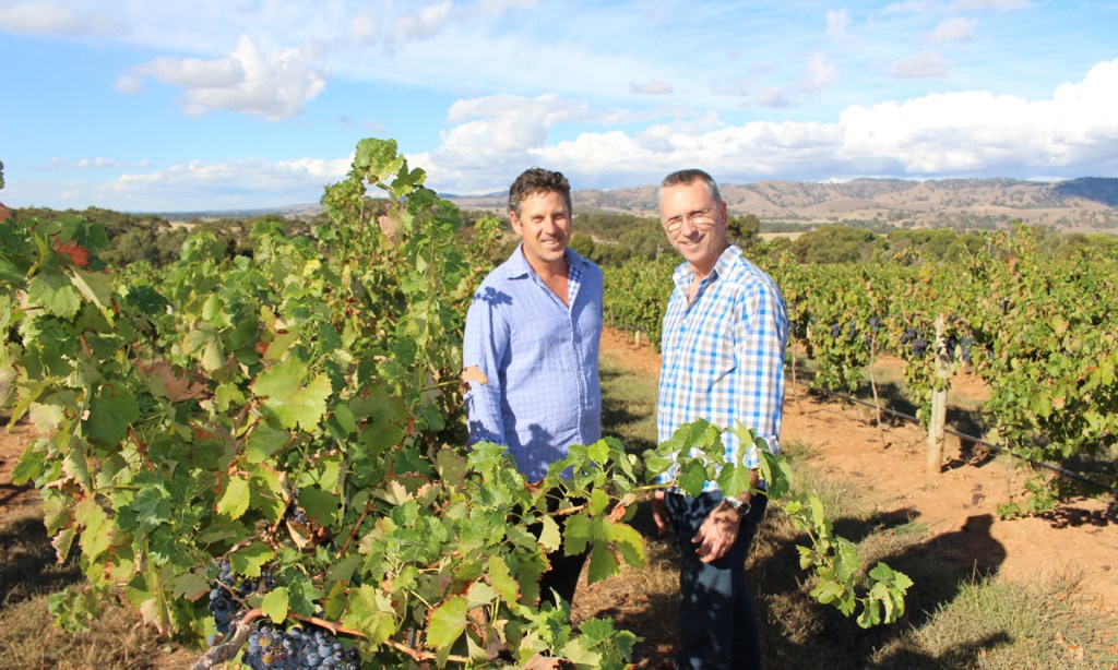 Thumbnail for Two mates and a vineyard