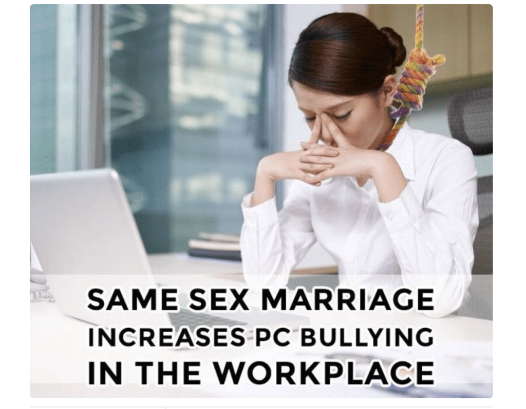 Thumbnail for Anger erupts over rainbow noose image