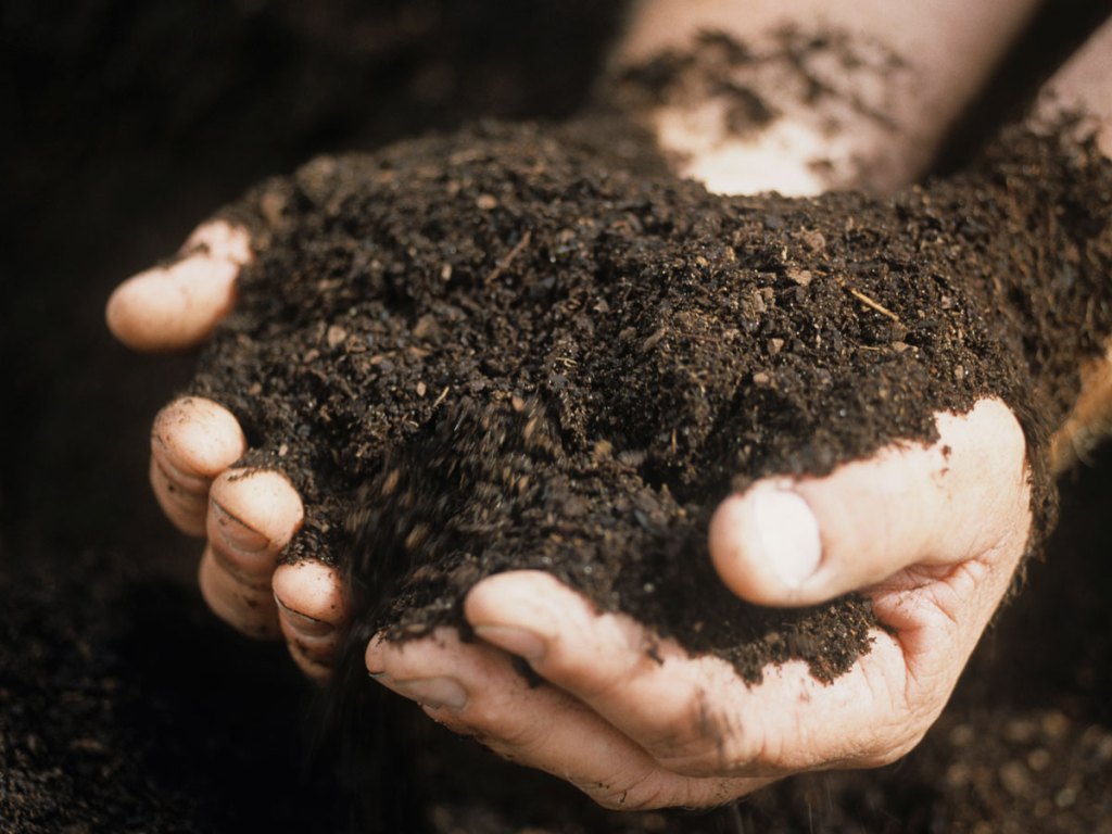 Thumbnail for SA vege producers call for support to grow