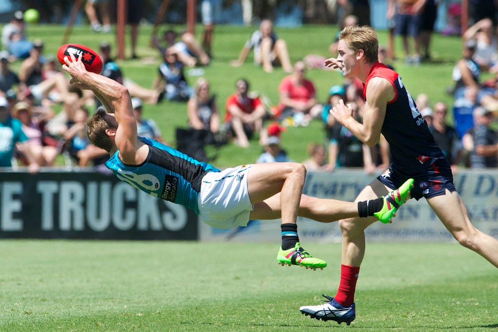 Port forward Jay Schulz has had surgery on his back. Photo: Michael Errey, InDaily.
