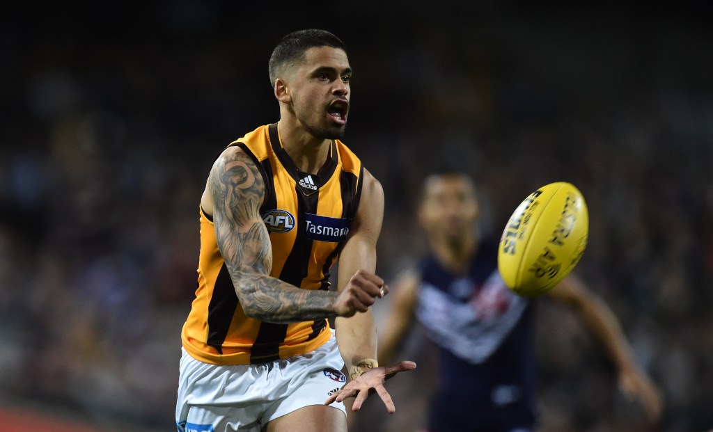 Hawk Brad Hill has been charged with assault. Photo: Julian Smith, AAP.