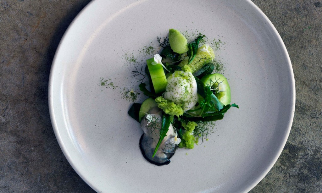 Thumbnail for Cucumbers, oysters and gin