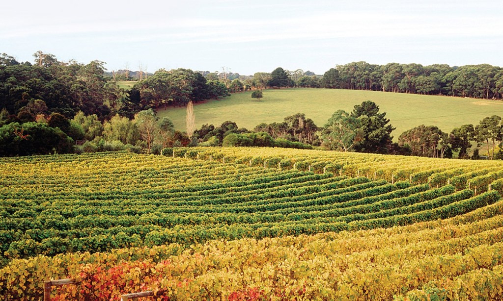 Thumbnail for Some princely wines from Victoria