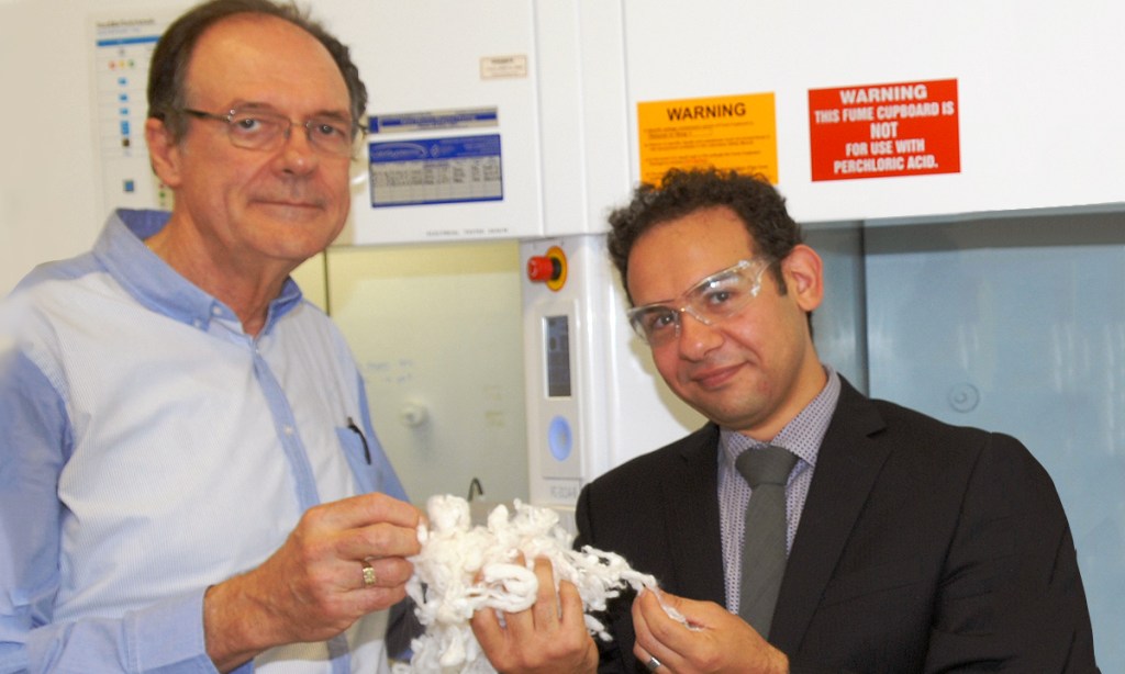 Thumbnail for Riding the sheep’s back: Flinders chemists find way to recycle waste wool
