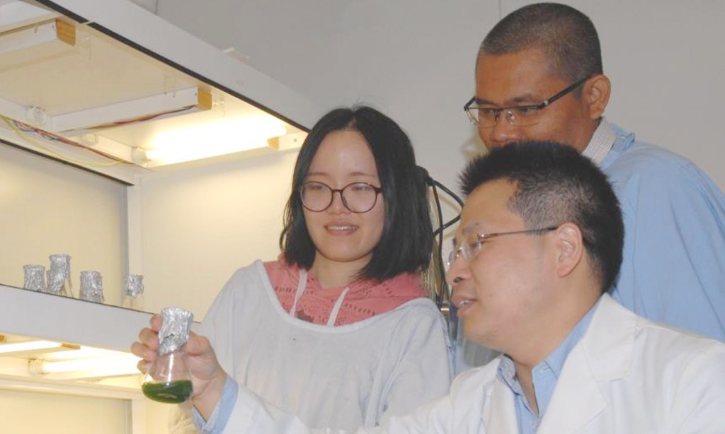 Thumbnail for Marine biotech attracts Chinese alliance