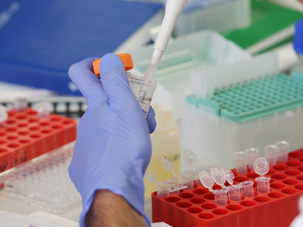 Thumbnail for Cancer ‘key’ in development at Adelaide lab