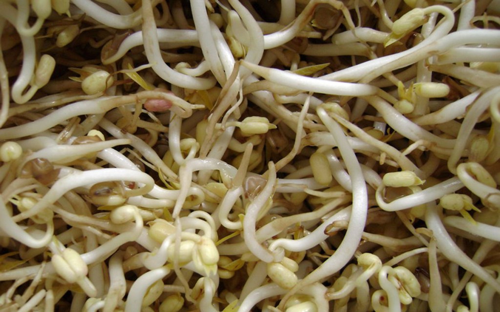 Thumbnail for Salmonella outbreak: SA Health issues bean sprouts warning
