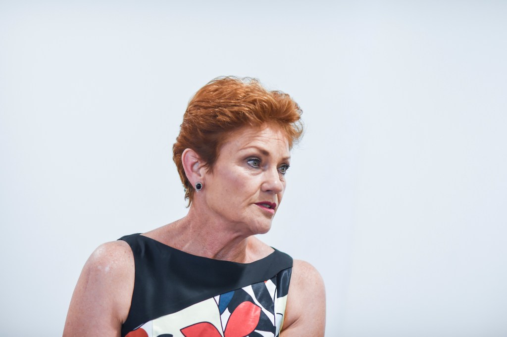 Thumbnail for Pauline Hanson given even chance of Canberra return