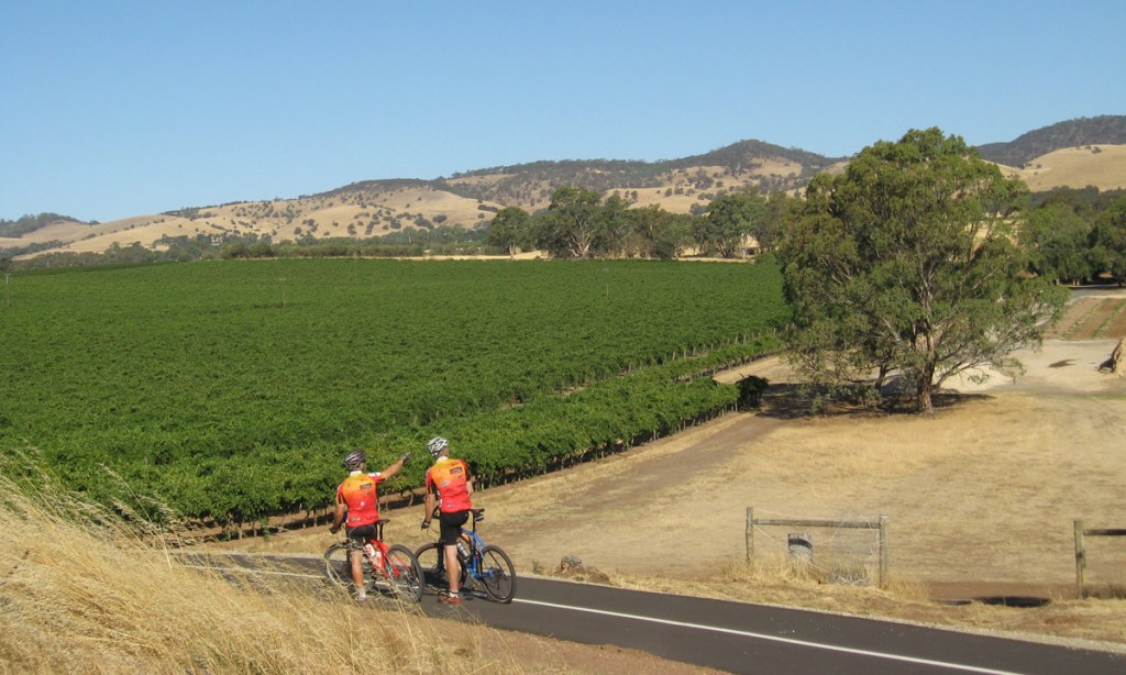 Thumbnail for Barossa bike hub meets grape expectations