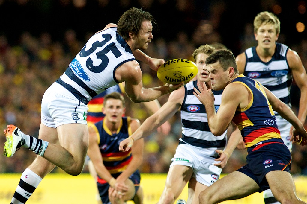 Thumbnail for Clipping the Crows puts Cats into flag favouritism