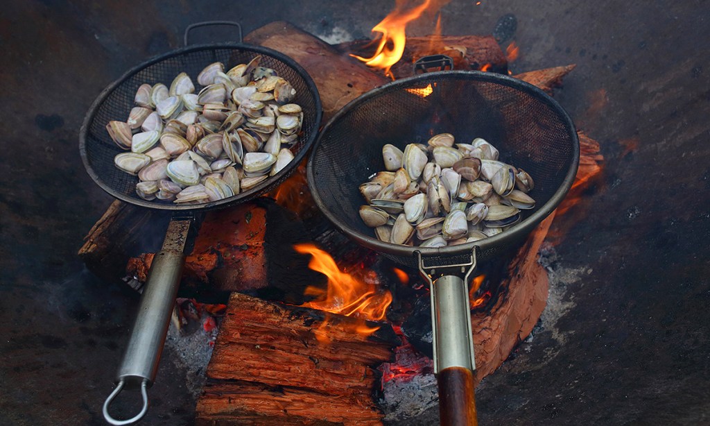 Cockles cooked on a fire pit at Lost in a Forest, Uraidla.