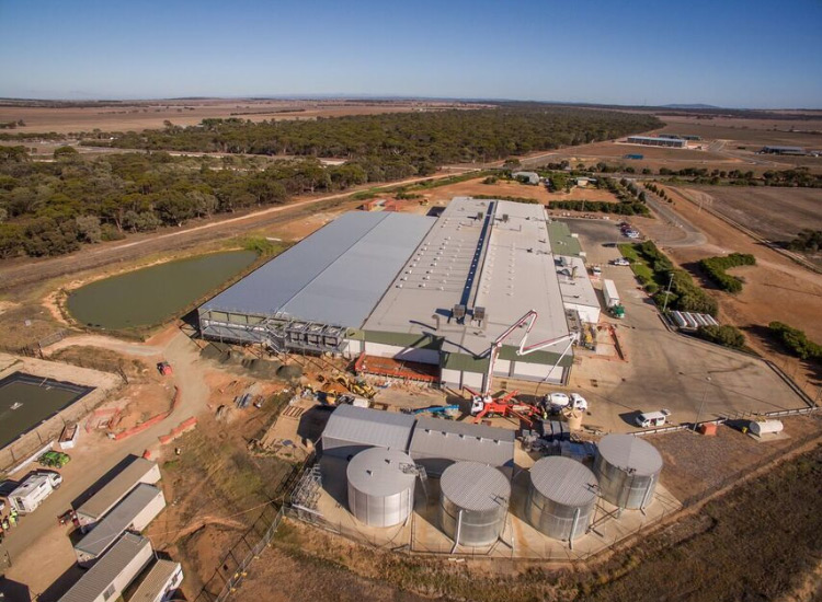 Thumbnail for Hundreds of SA jobs promised from Ingham expansion
