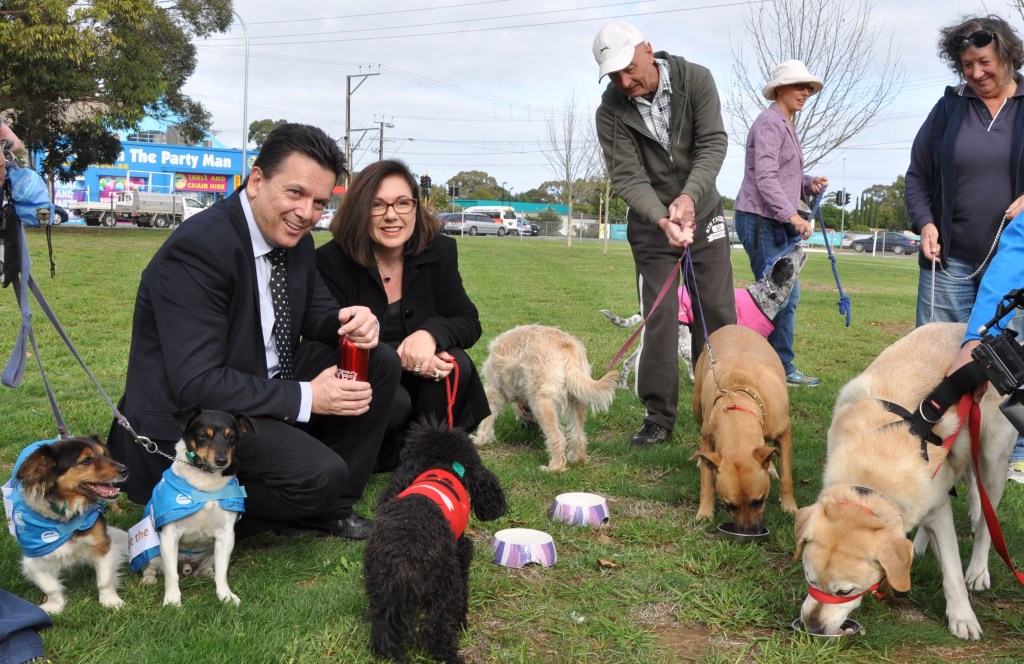 Thumbnail for Mr X walks the line as candidate slams penalty rates “disaster”