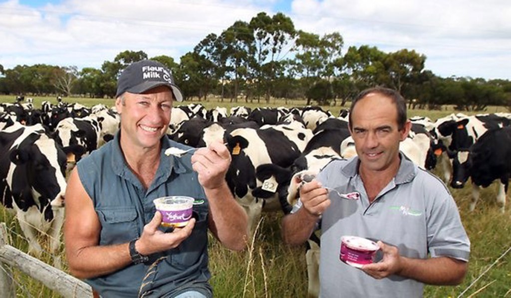 Thumbnail for Milk crisis a boon for SA independent farmers