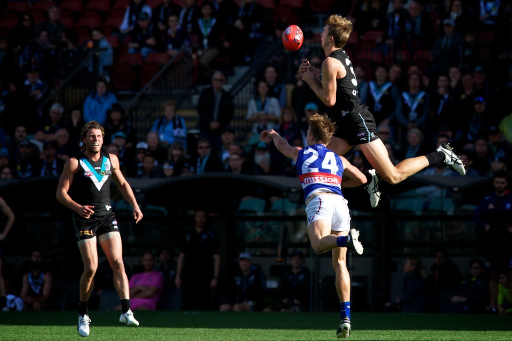 Thumbnail for Surgery ends season for another Port tall